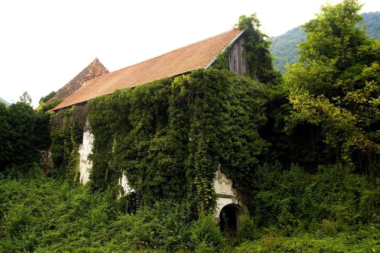 Großes Gebäude auf dem Land, völlig zugewuchert von diversen Pflanzen, wie Dornröschens Schloss - Mondfinsternis im Schützen