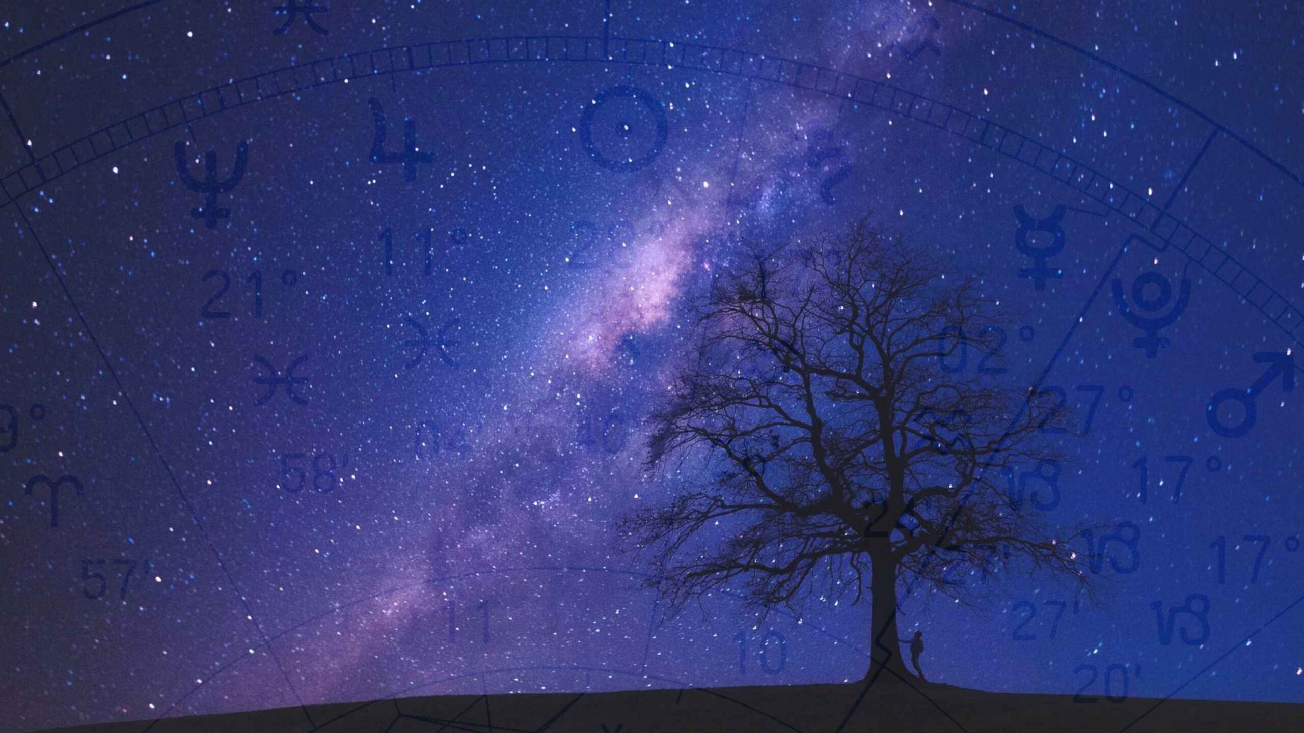 Nachthimmel mit Milchstrasse, Baum und Astrologischen Zeichen - Irene Dietrich 