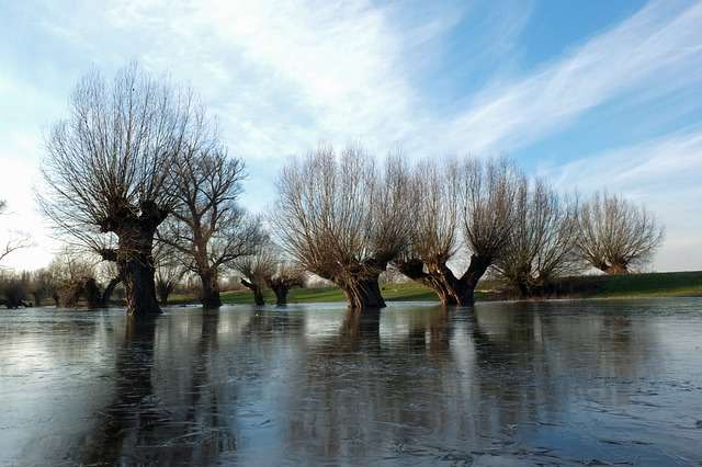 Überflutung und Hochwasser - Mondfinsternis in Fische